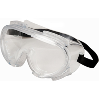 Encompass Safety Goggles, Clear Lens, Anti-Fog, Indirect Vent Les Distributions ICE