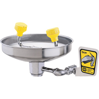 Eyewash With Acetal Heads, Wall-Mount Installation, Stainless Steel Bowl Les Distributions ICE