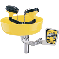 Eyewash Station, Supply Pipe Mount Installation, Plastic Bowl Les Distributions ICE