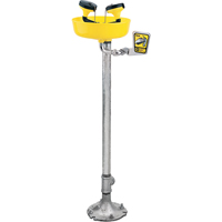Eyewash Station, Pedestal Installation, Plastic Bowl Les Distributions ICE