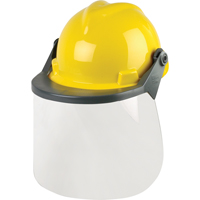 Head & Face Protection Systems Les Distributions ICE