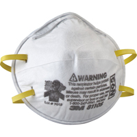 8110S Particulate Respirators, N95, NIOSH Certified, Small Les Distributions ICE