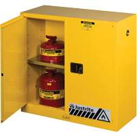 Sure-Grip&reg; Ex Flammable Storage Cabinets, 30 gal., 2 Door, 43" W x 44" H x 18" D Les Distributions ICE