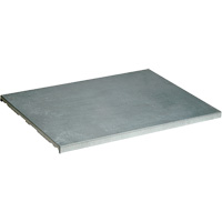 Extra Shelf for Sure-Grip&reg; Ex Flammable Storage Cabinet Les Distributions ICE