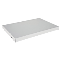 Extra Shelf for Sure-Grip&reg; Ex Flammable Storage Cabinet Les Distributions ICE