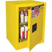 Armoire de s&eacute;curit&eacute; d'&eacute;tabli pour produits inflammables EX Sure-Grip, 24 gal., 1 Porte(s), 21" La x 27" h x 18" p Les Distributions ICE