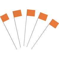 Marking Flags Les Distributions ICE