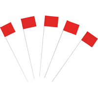 Marking Flags Les Distributions ICE