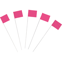 Marking Flags Les Distributions ICE