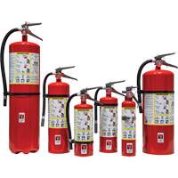 Extincteur d'incendie, ABC, Capacit&eacute; 30 lb Les Distributions ICE