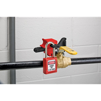 Valve Lockouts