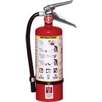Extincteur d'incendie, ABC, Capacit&eacute; 5 lb Les Distributions ICE