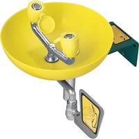 Eyewash Station, Wall-Mount Installation, Plastic Bowl Les Distributions ICE