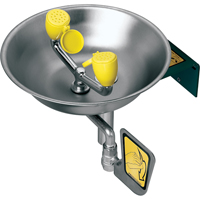 Eye/Face Wash Station, Wall-Mount Installation, Stainless Steel Bowl Les Distributions ICE