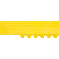 Rampe de bordure pour tapis Les Distributions ICE