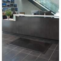 Tapis &agrave; profil bas, Caoutchouc, Grattoir Type, Motif Plein, 3' x 5', Noir Les Distributions ICE