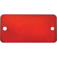 Blank Tags, Aluminum, 3" W x 1" H Les Distributions ICE