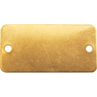 Blank Tags, Brass, 2" W x 1" H Les Distributions ICE