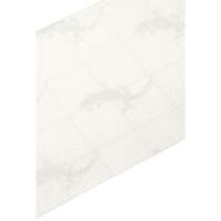 Ruban antid&eacute;rapant de premi&egrave;re qualit&eacute;, 4" x 60', Transparent Les Distributions ICE