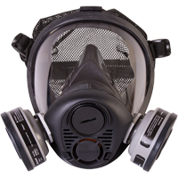 Respirateur &agrave; masque complet de s&eacute;rie RU6500 de North, Silicone, Petit Les Distributions ICE