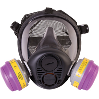 Respirateur &agrave; masque complet de s&eacute;rie RU6500 de North, Silicone, Petit Les Distributions ICE