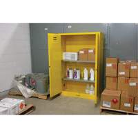 Armoire pour produits inflammables, 45 gal., 2 Porte(s), 43" La x 65" h x 18" p Les Distributions ICE