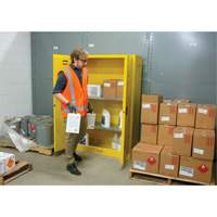 Armoire pour produits inflammables, 45 gal., 2 Porte(s), 43" La x 65" h x 18" p Les Distributions ICE