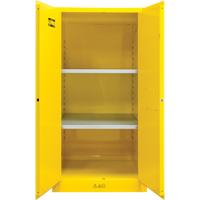 Flammable Storage Cabinet, 60 gal., 2 Door, 34" W x 65" H x 34" D Les Distributions ICE