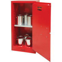 Armoire pour peintures et encres, 20 gal. Les Distributions ICE