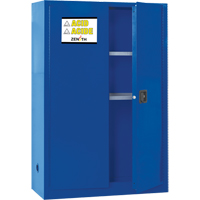 Armoire pour liquides corrosifs, 45 gal., 43" x 65" x 18" Les Distributions ICE