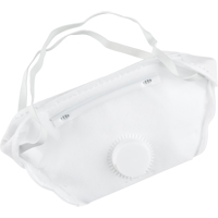 Respirateur contre les particules, N95, Certifi&eacute; NIOSH, Moyen/grand Les Distributions ICE