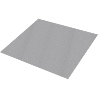 Plaque antid&eacute;rapante Safestep, 47" la x 96" lo, Gris Les Distributions ICE