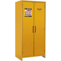 Armoire d'entreposage 90 minutes s&eacute;curitaire et conforme &agrave; la norme EN, 30 gal., 2 Porte(s), 35,16" La x 76,89" h x 24,21" p Les Distributions ICE