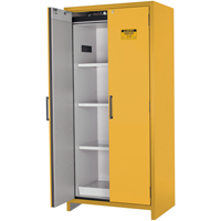Armoire d'entreposage 90 minutes s&eacute;curitaire et conforme &agrave; la norme EN, 30 gal., 2 Porte(s), 35,16" La x 76,89" h x 24,21" p Les Distributions ICE