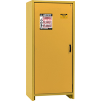 Armoire d'entreposage 30 minutes s&eacute;curitaire et conforme &agrave; la norme EN, 30 gal., 1 Porte(s), 34,02" La x 76,65" h x 24,21" p Les Distributions ICE
