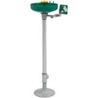 Axion&reg; Eye/Face Wash Station, Pedestal Installation, Plastic Bowl Les Distributions ICE