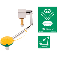 Eye/Face Wash Station, Sink Mount Installation Les Distributions ICE
