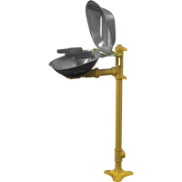 Postes de douche oculaire/faciale Halo, Installation Socle, Bol Acier inoxydable Les Distributions ICE