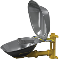 Poste de douche oculaire Halo, Installation Montage mural, Bol Acier inoxydable Les Distributions ICE