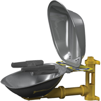 Postes de douche oculaire/faciale Halo, Installation Montage mural, Bol Acier inoxydable Les Distributions ICE