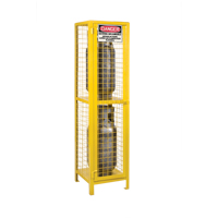Gas Cylinder Cabinets, 2 Cylinder Capacity, 17" W x 17" D x 69" H, Yellow Les Distributions ICE