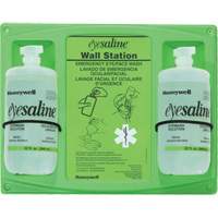 Saline Eyewash Wall Station, Double Les Distributions ICE