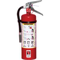 Extincteur d'incendie, ABC, Capacit&eacute; 5 lb Les Distributions ICE