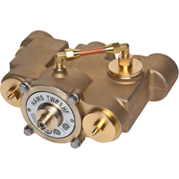 Vannes de m&eacute;lange thermostatique, 78 gal./min Les Distributions ICE