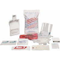 Fluid Spill Clean-Up Kit, Hazmat, Bag, None Absorbancy Les Distributions ICE