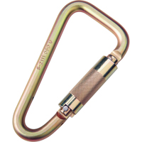Saflok Carabiners, Steel, 3600 lbs Capacity Les Distributions ICE