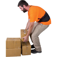 Support lombaire, &eacute;lastique, Petit Les Distributions ICE