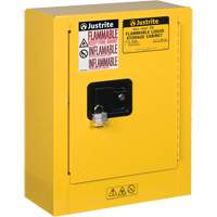 Mini-armoires de s&eacute;curit&eacute; Sure-Grip EX pour produits inflammables, 2 gal., 1 Porte(s), 17" La x 22" h x 8" p Les Distributions ICE