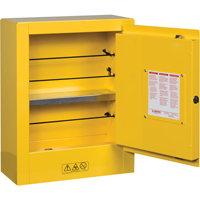 Mini-armoires de s&eacute;curit&eacute; Sure-Grip EX pour produits inflammables, 2 gal., 1 Porte(s), 17" La x 22" h x 8" p Les Distributions ICE