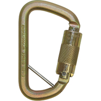Rollgliss Technical Rescue Offset D Fall Arrest Carabiner, Steel, 3600 lbs Capacity Les Distributions ICE